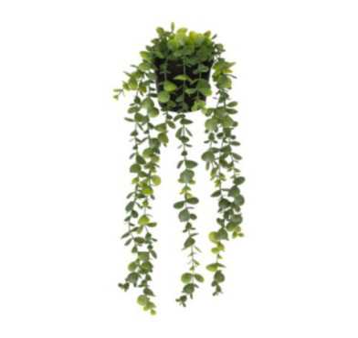 PLANTE EUCALYPTUS ARTIFICIEL