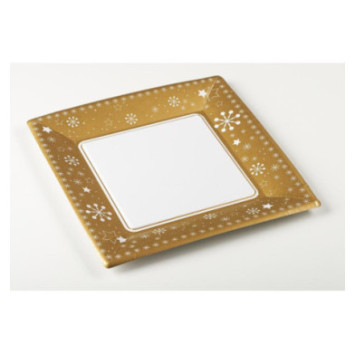 ASSIETTE EN CARTON X10PIECES