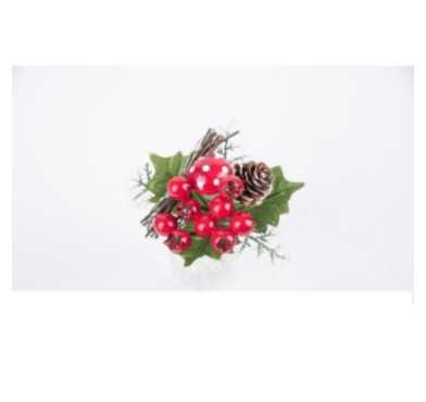 BRANCHAGE BAIE/CHAMPIGNON