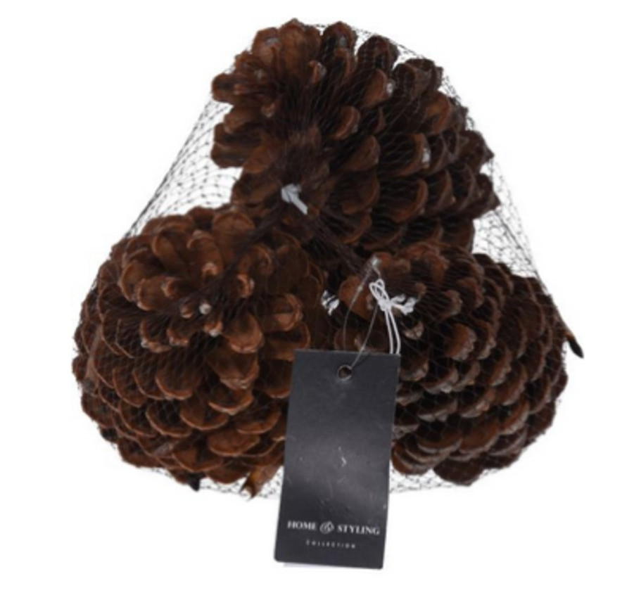 POMME DE PIN NATUREL X3PCS