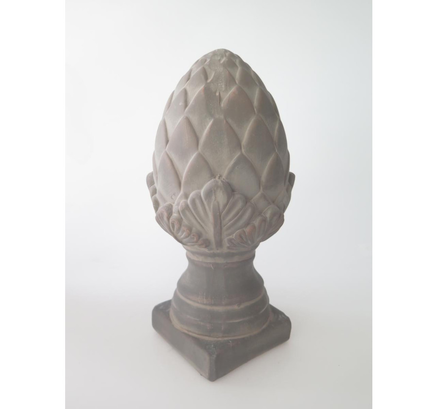 POMME DE PIN SUR PIED