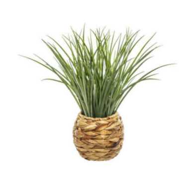 HERBE DANS CACHE POT TRESSE