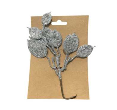 MONNAIE DU PAPE PAILLETEE PM