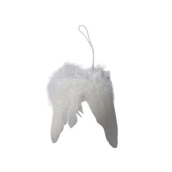 AILE D ANGE A SUSPENDRE