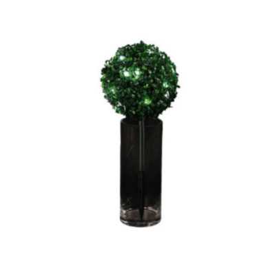 BOULE DE BUIS A PLANTER 25CM