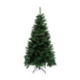 SAPIN WINDY PEAK 180CM