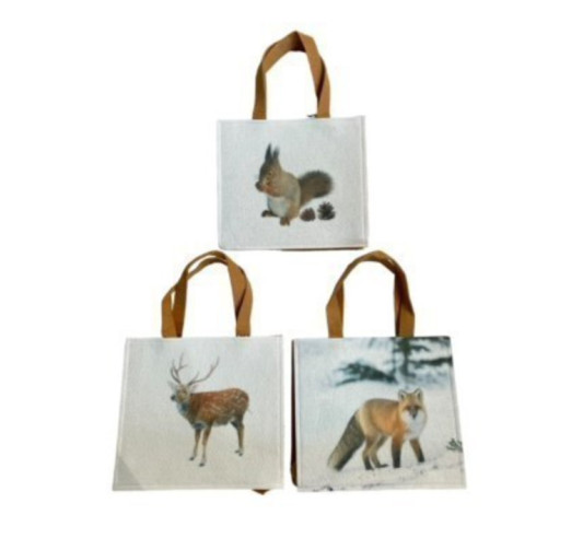 SAC CADEAUX H21X19X5CM