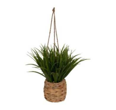 PLANTE A SUSPENDRE H.27CM
