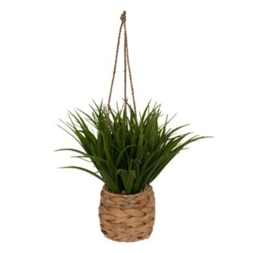 PLANTE A SUSPENDRE H.27CM