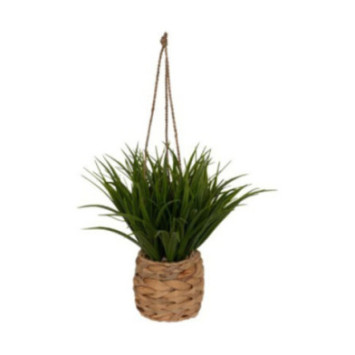 PLANTE A SUSPENDRE H.27CM