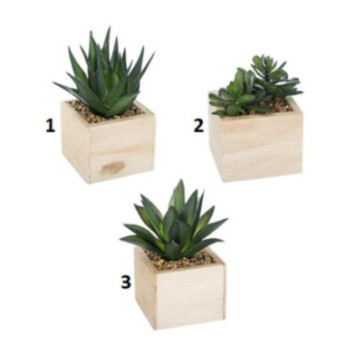 PLANTE ARTIFICIELLE DANS SON