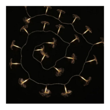 GUIRL BOUQUET FO 32L 8F L4M