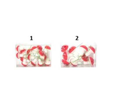 SET DE 15 CHAMPIGNONS EN