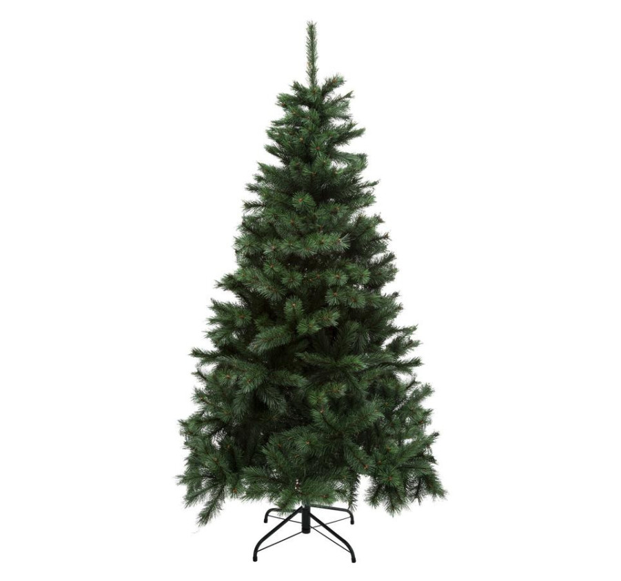 SAPIN WINDY PEAK 240CM L144CM