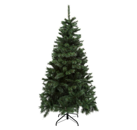 SAPIN WINDY PEAK 240CM L144CM
