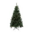 SAPIN WINDY PEAK 240CM L144CM