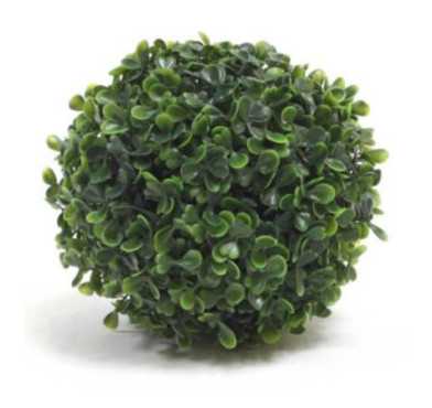 BOULE DE BUIS DIAMETRE 18CM