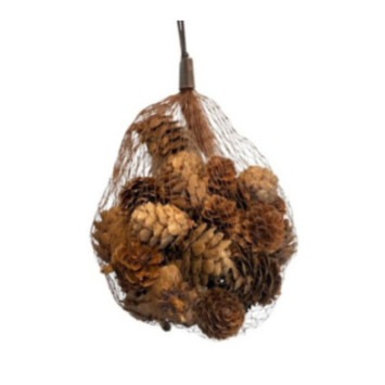 FILET DE POMMES DE PIN