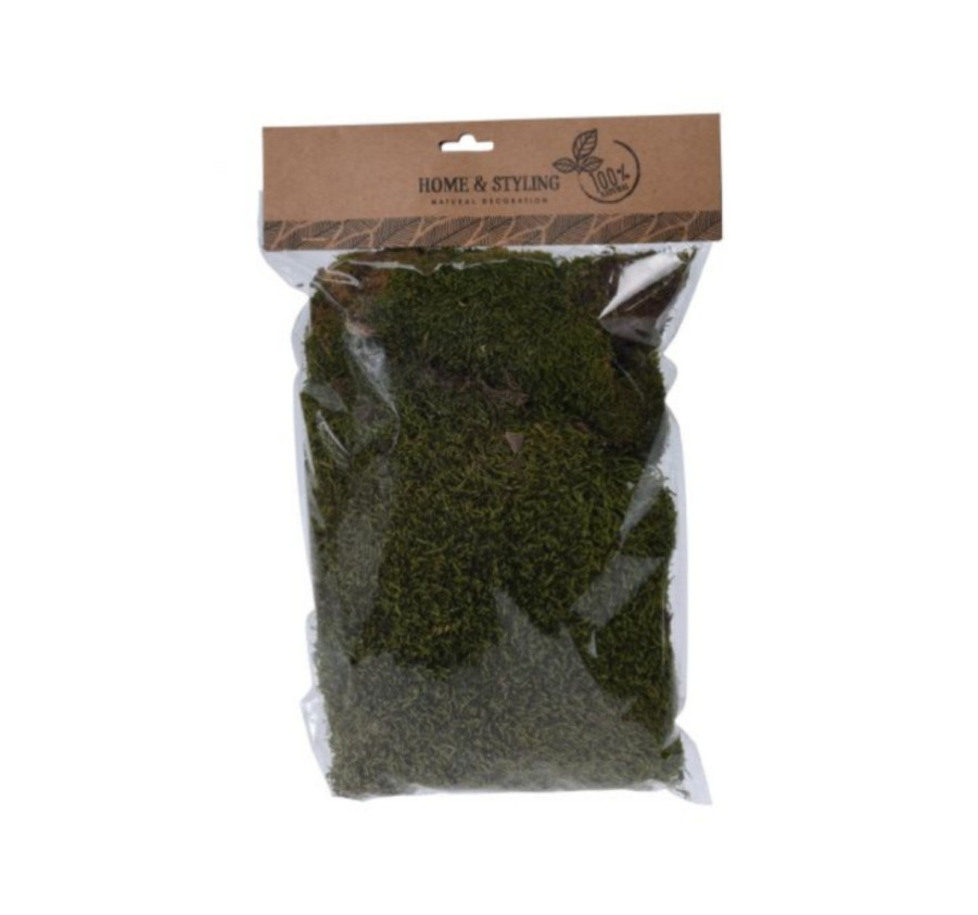 SACHET DE MOUSSE NATUREL