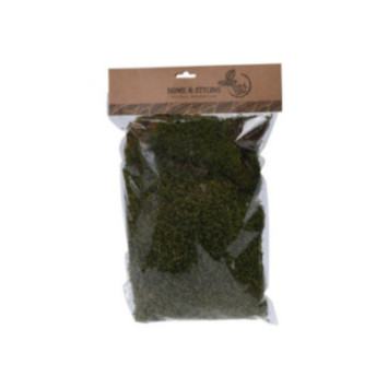 SACHET DE MOUSSE NATUREL