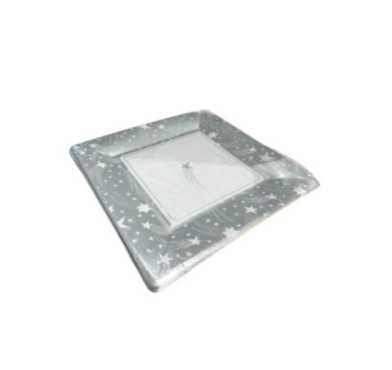 ASSIETTE EN CARTON X10PIECES