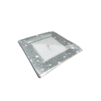 ASSIETTE EN CARTON X10PIECES