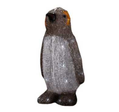 PINGOUIN SOLAIRE LUMINEUX