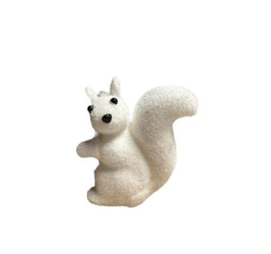 ECUREUIL DEBOUT A SUSPENDRE