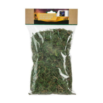 BLISTER DE MOUSSE VERTE