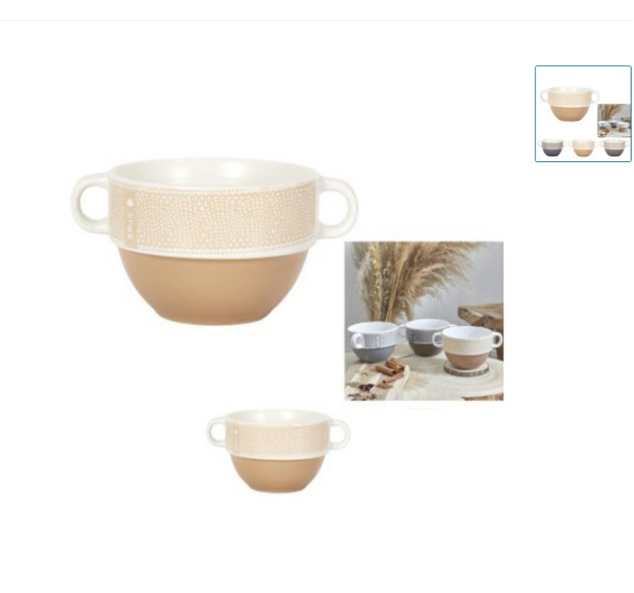 BOL A SOUPE AVEC ANSES 500ML