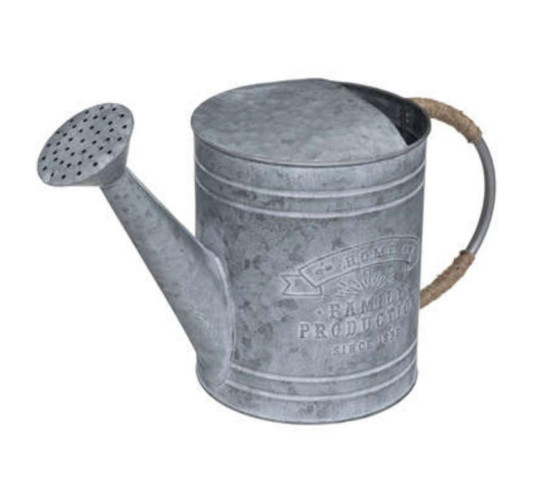 ARROSOIR METAL H.25CM