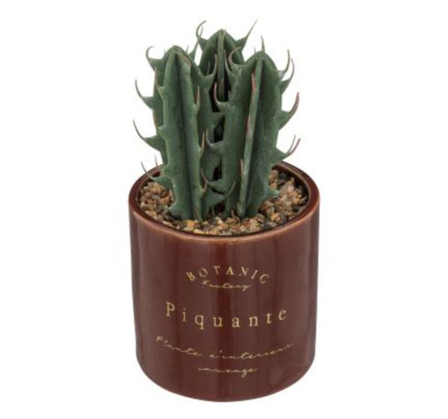 PLANTE DANS SON POT EN