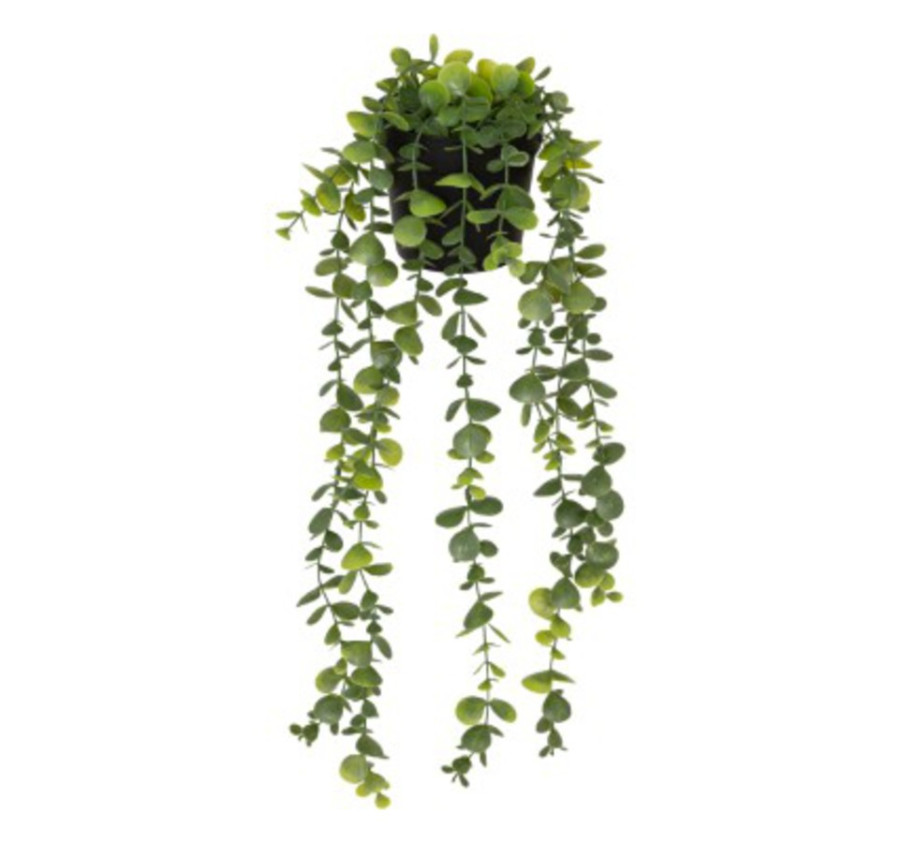 PLANTE EUCALYPTUS ARTIFICIEL