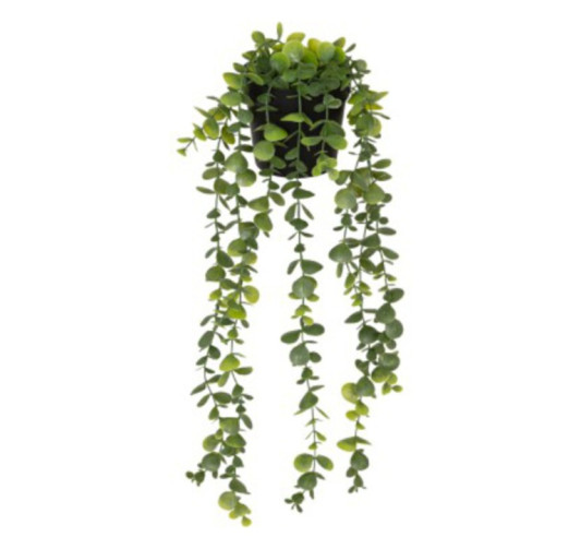 PLANTE EUCALYPTUS ARTIFICIEL