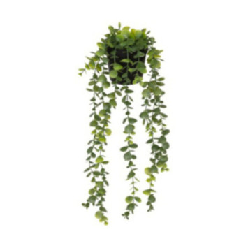 PLANTE EUCALYPTUS ARTIFICIEL