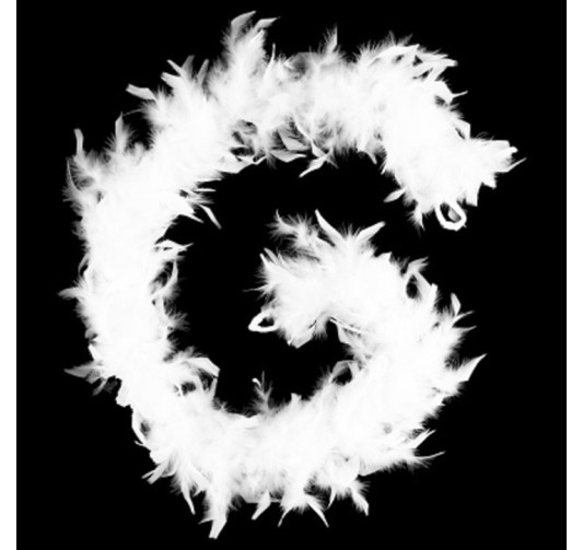 GUIRLANDE PLUME DE BOA 1M80