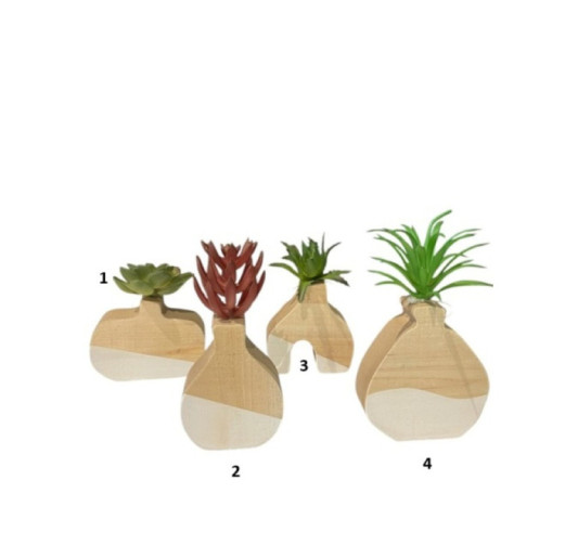 VASE EN BOIS AVEC PLANTE