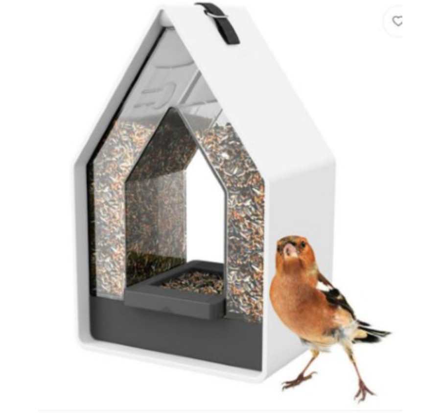 DISTRIBUTEUR GRAINES OISEAUX