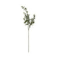 BRANCHE EUCALYPTUS PAILLETE