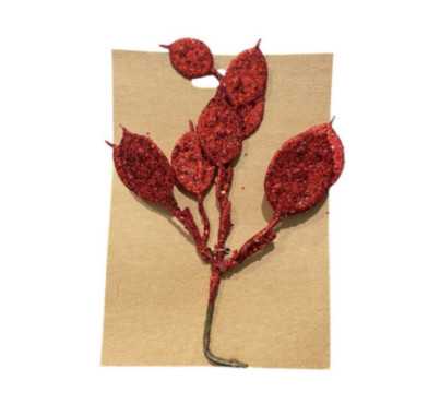 MONNAIE DU PAPE PAILLETEE PM