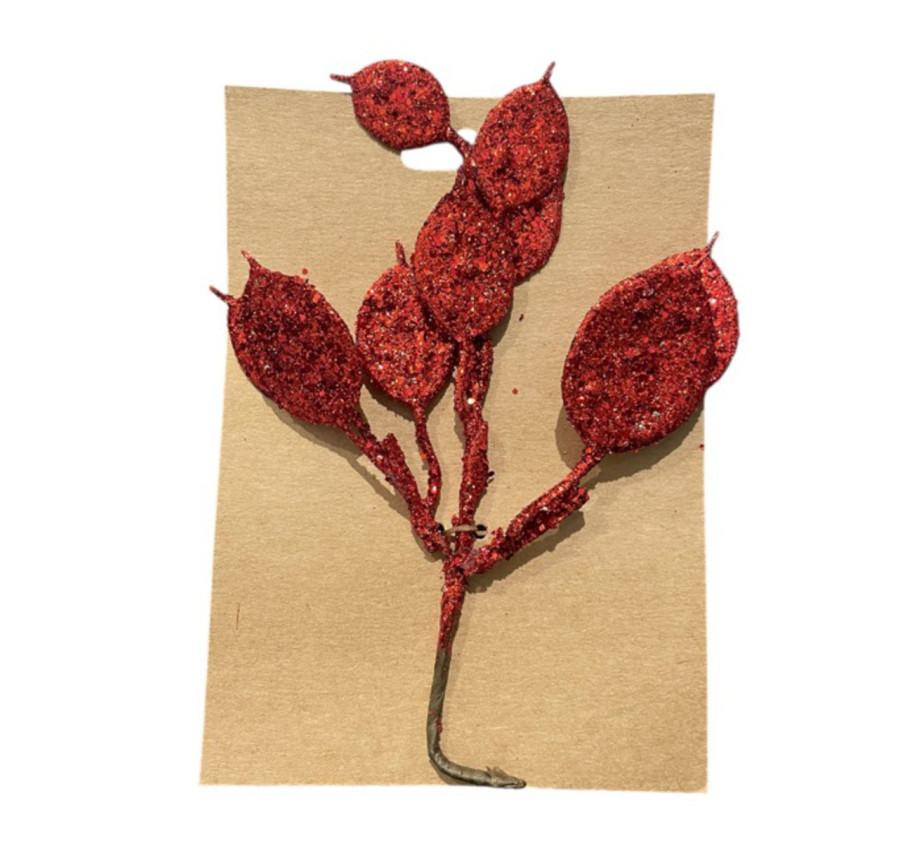 MONNAIE DU PAPE PAILLETEE PM