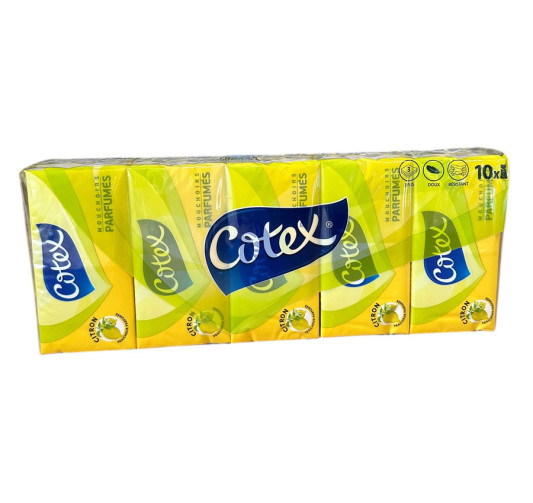 10 PAQUETS DE 10 MOUCHOIRS