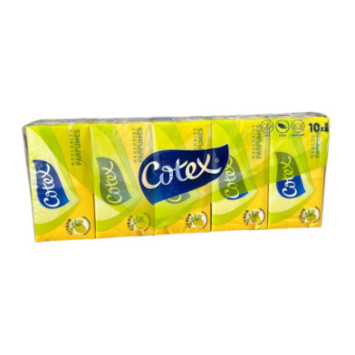 10 PAQUETS DE 10 MOUCHOIRS