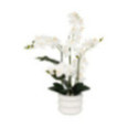ORCHIDEE ARTIFICIELLE H80CM