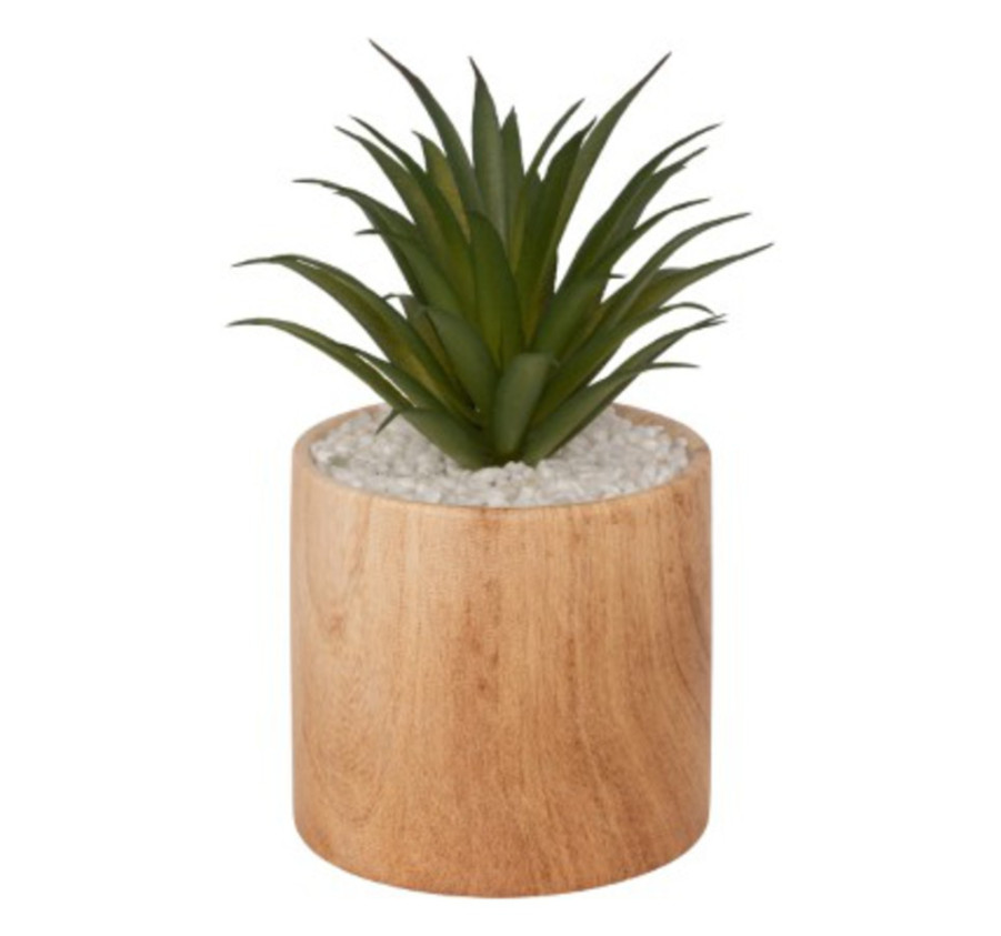 PLANTE GRASSE ARTIFICIELLE