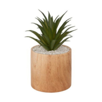 PLANTE GRASSE ARTIFICIELLE