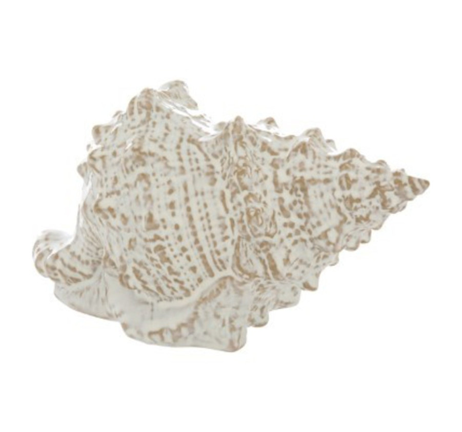 COQUILLAGE EN CERAMIQUE