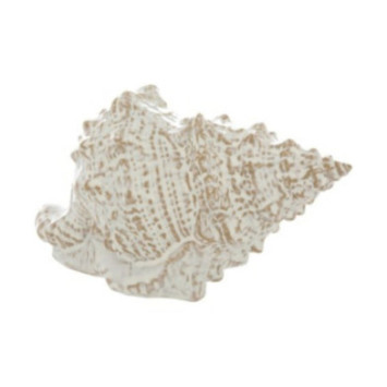 COQUILLAGE EN CERAMIQUE