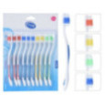 SET DE 10 BROSSES A DENTS