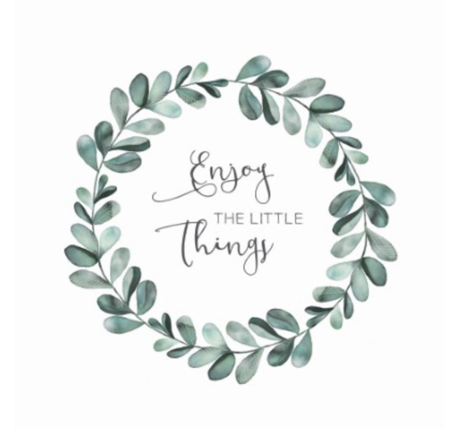 SERVIETTE EN PAPIER X30PIECES